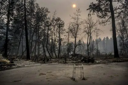 Why California Still Isn’t Safe a Year After the Camp Fire