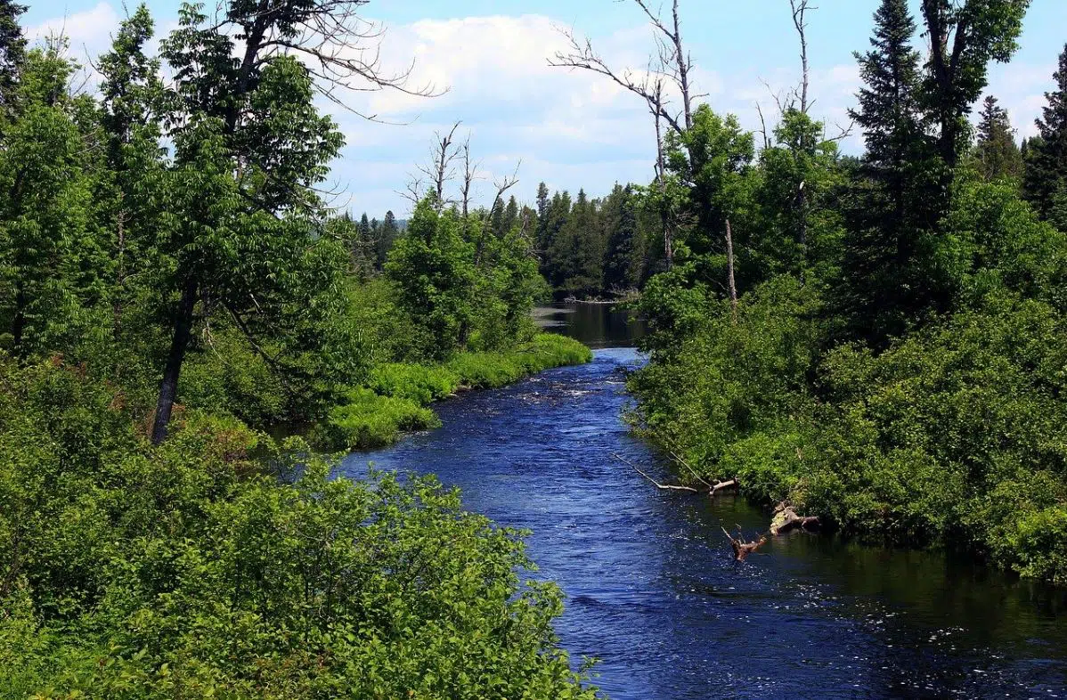 Minnesota Says New Federal Pollution Rules Would ‘Kneecap’ Water Protections