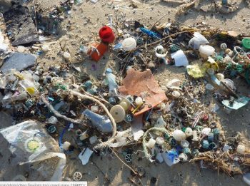 Ocean Plastic Could Triple By 2040 Without ‘Rapid And Concerted’ Action