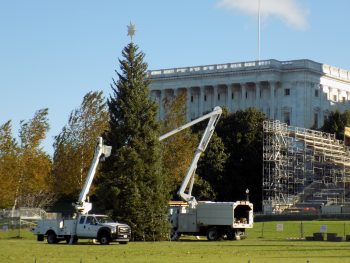 Speaker Pelosi, California Delegation to Host Capitol Christmas Tree Lighting