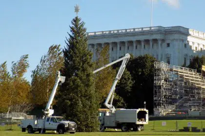 Speaker Pelosi, California Delegation to Host Capitol Christmas Tree Lighting
