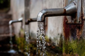 A 19-State Coalition Urges Congress to Pass the PFAS Action Act