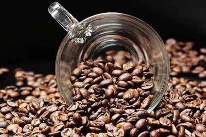 Research Links Coffee Consumption to Longer Life