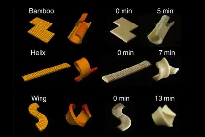 Researchers Experiment With “Morphing” Food to Enable More Sustainable Packaging. Behold, Flat-packed 3D Pasta