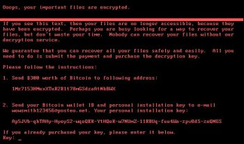 US Government Prepares Strategy to Respond to Ransomware Attacks
