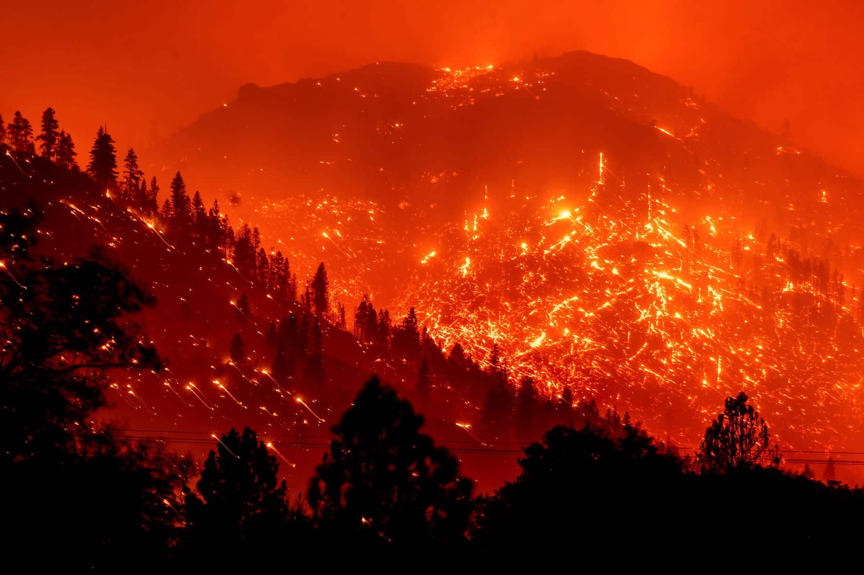 UCLA Study Ties Human-Caused Climate Change to Widespread Wildfires