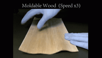 Researchers Have Now Made Wood That You Can Fold and Mold