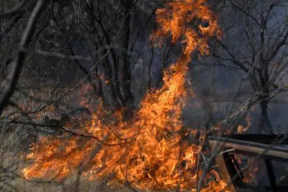 Texas Firefighter Crews Work to Contain Wildfire Outbreaks