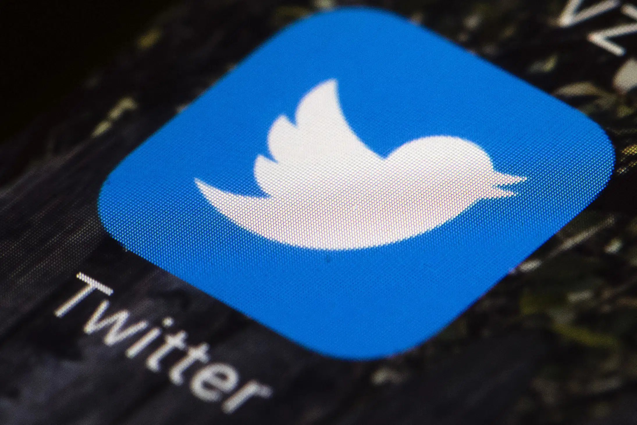 Twitter Adopts ‘Poison Pill’ Defense to Thwart Musk Takeover 