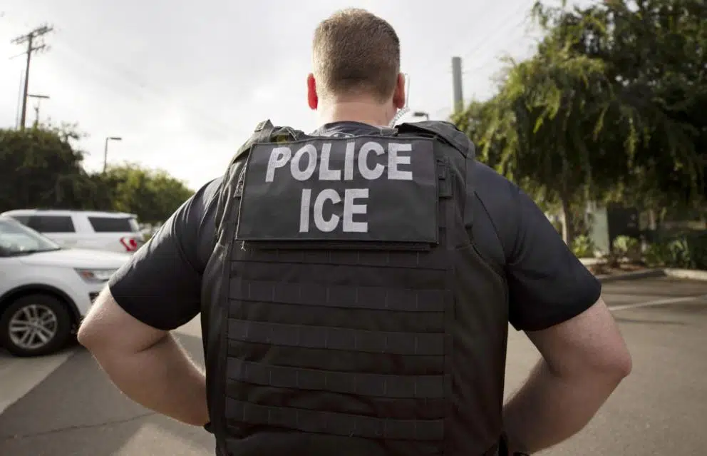 Report Details ICE Surveillance Dragnet