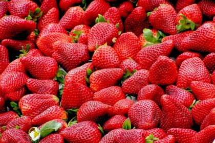 FDA Warns Against Consumption of Organic Strawberries After Outbreak of Hep A 