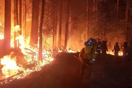 California Utility Pleads Not Guilty to Manslaughter in Deadly Wildfire