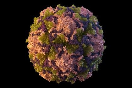 Polio Detected in NYC’s Sewage, Suggesting Virus Circulating